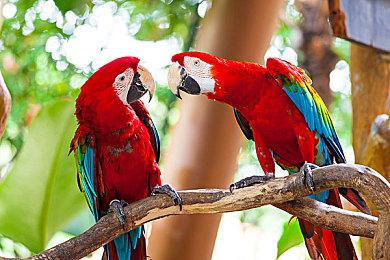 《斯普拉遁3》公开7分钟介绍视频 游戏9月9日登陆NS平台